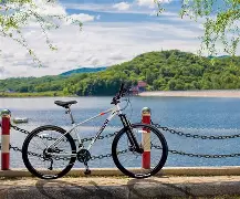 虎扑体育-自行车超级杯掀起高潮，闽南雷豹队淘汰对手塞北雄狮队，战至最后一刻——回归即成焦点的简单介绍